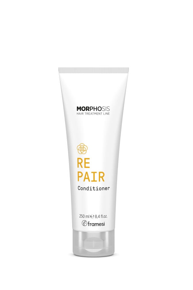 REPAIR CONDITIONER